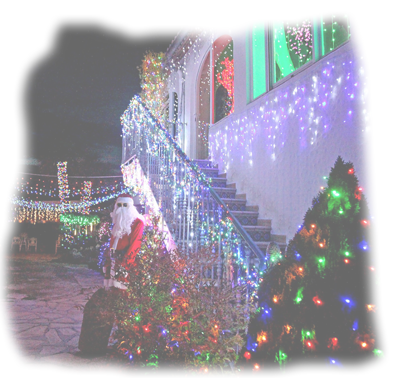decoração
